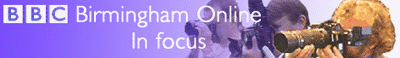 in_focus_banner.gif